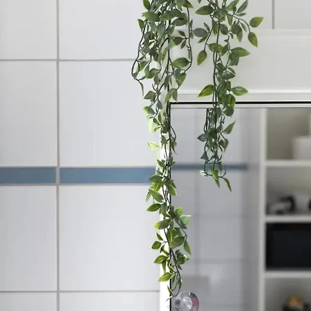Accommodatie bij particulieren Zwei Im Jugendstilhaus Mit Garten Bern